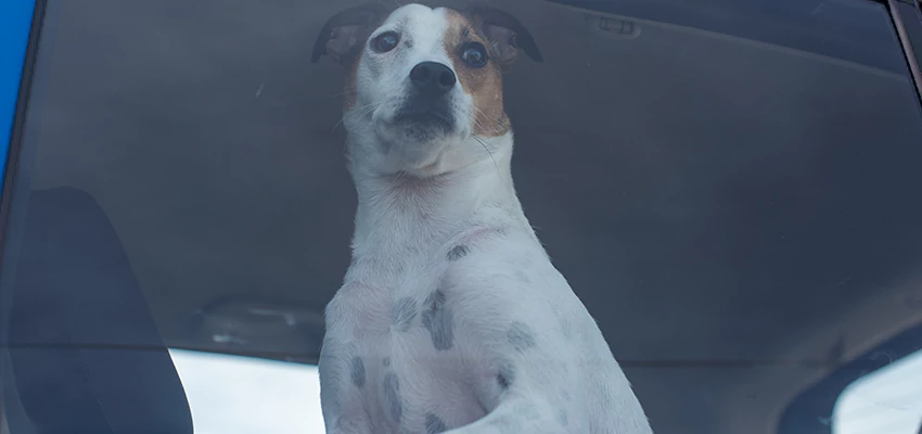 Car Lockout Solutions in Visalia, California